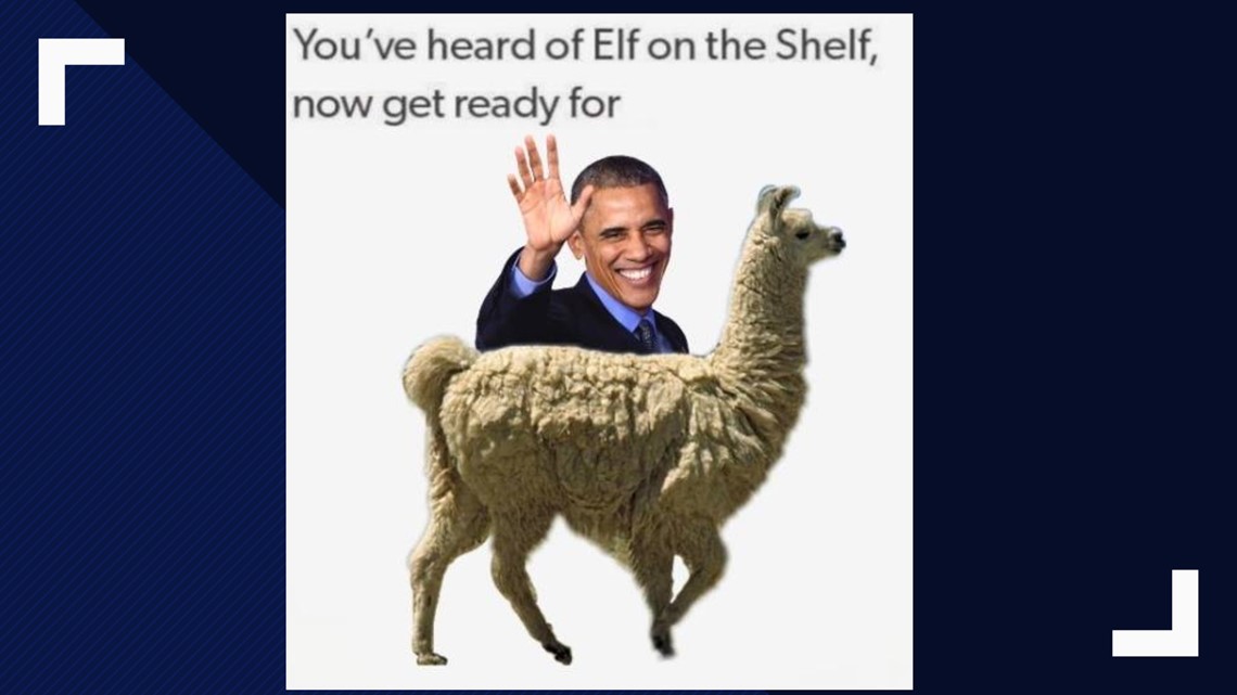 Obama on a Llama